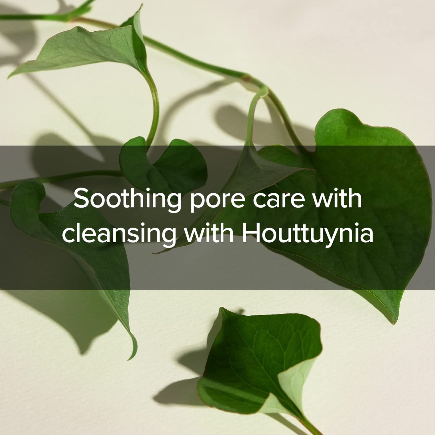 MARY & MAY Houttuynia Cordata + Tea Tree Cleansing Foam 150ml