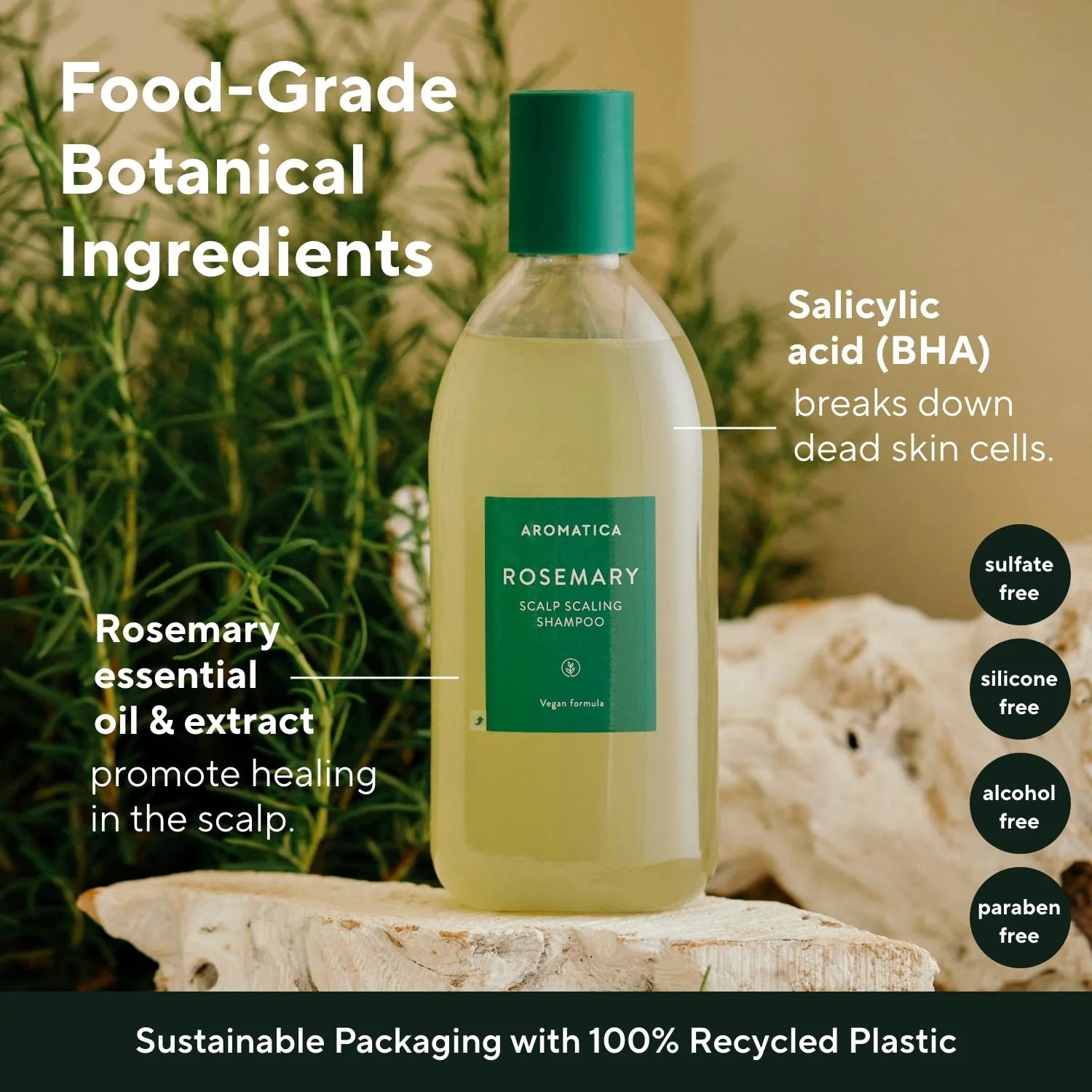 AROMATICA Rosemary Scalp Scaling Shampoo